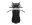 Formula and Indycar-7-thumbnail